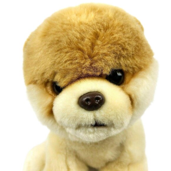 Gund Boo Worlds Cutest Dog 10 inch Plush Pomeranian Puppy Stuffed Animal Toy - Picture 3 of 9
